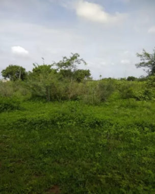 150-sqft-Plot-for-sale-in-Romoji-filmcity-Hyderabad-_-Property-for-sale