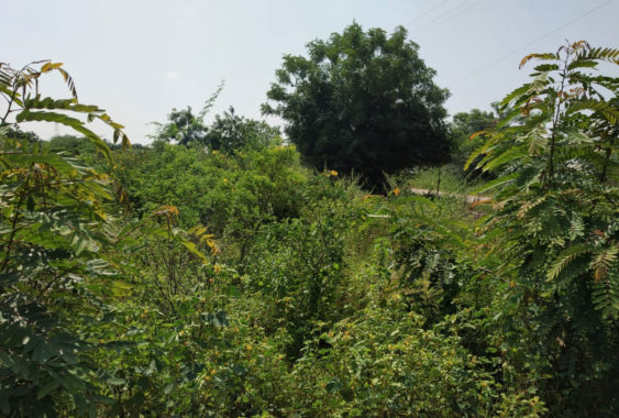 Balaji-Nagar-Korremula-Road-Narapally-0