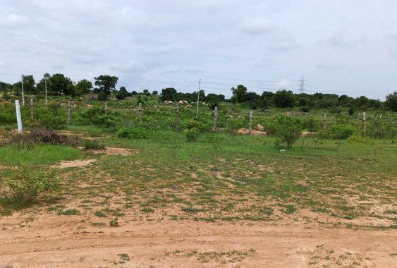 Green-City-Enclave-Plots-Buy-Sale-Madanpalli-Pedda-Shapur-Samshabad-Hyderabad-1