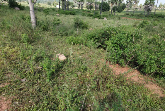 Rudra Sree Housing Plots BuySale Kottur Peddatupra Samshabad Hyderabad