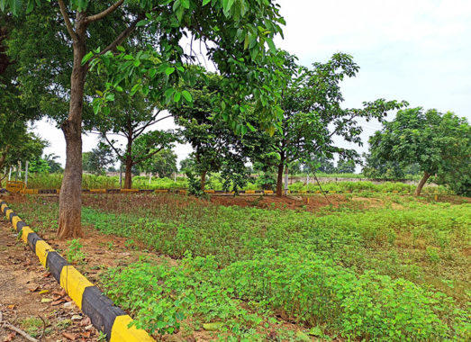 Sumadhura-Blossoms-Dabilguda-Village-Maheshwaram-Hyderabad0